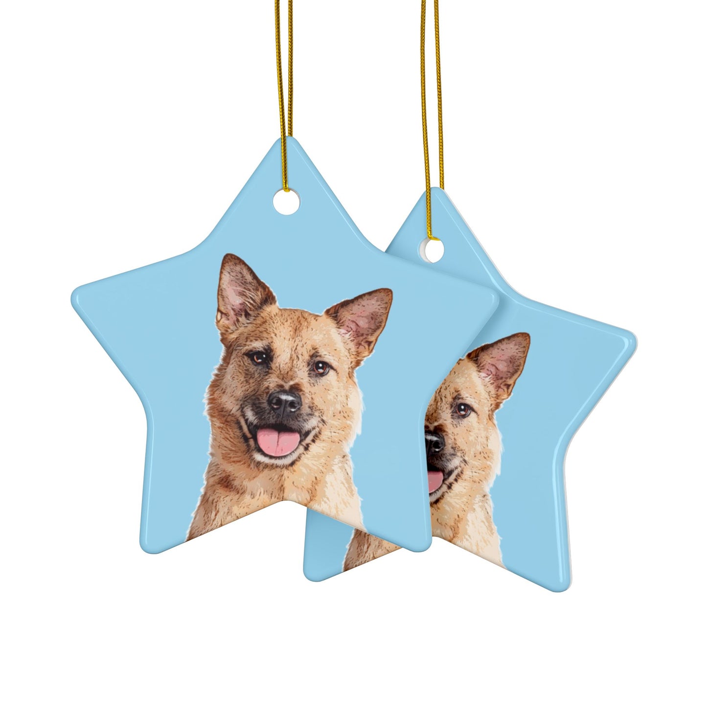 Custom Pet Art Holiday Ornaments