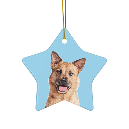 Custom Pet Art Holiday Ornaments