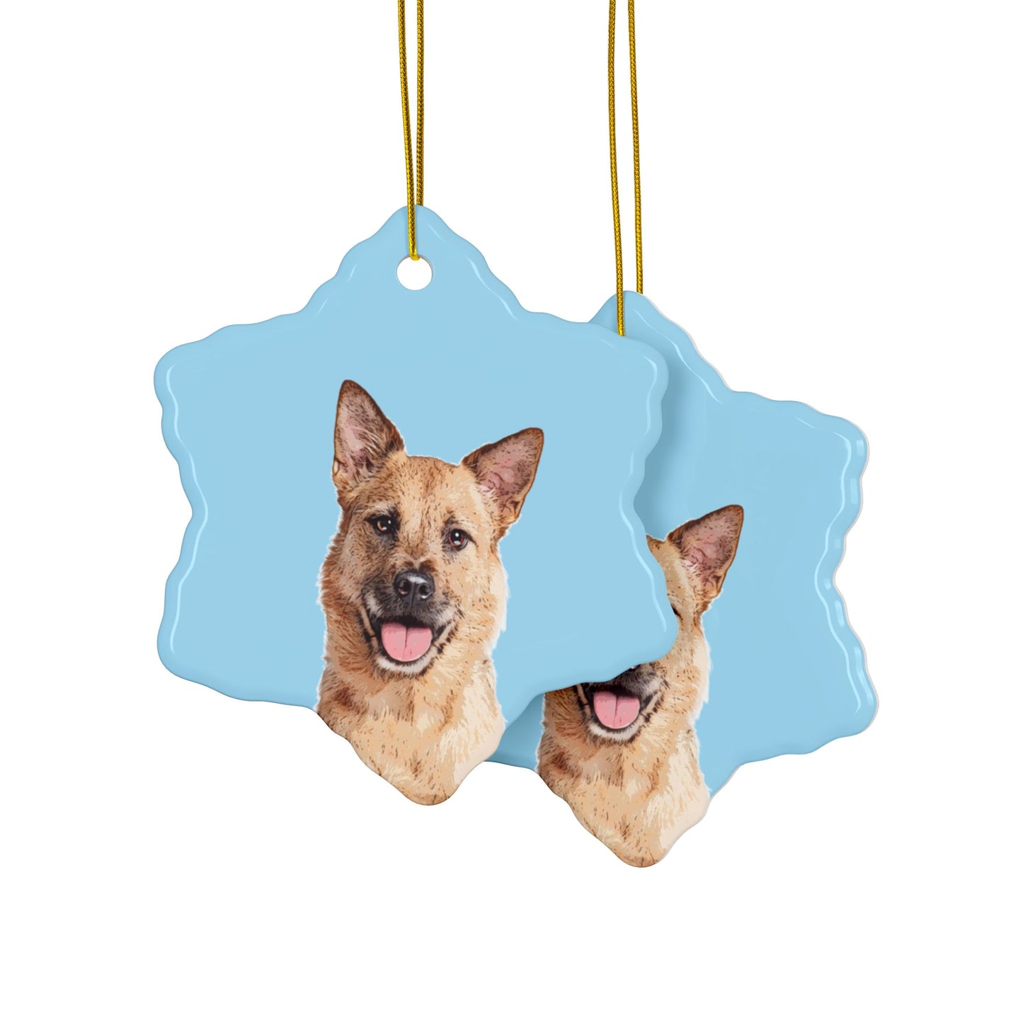 Custom Pet Art Holiday Ornaments