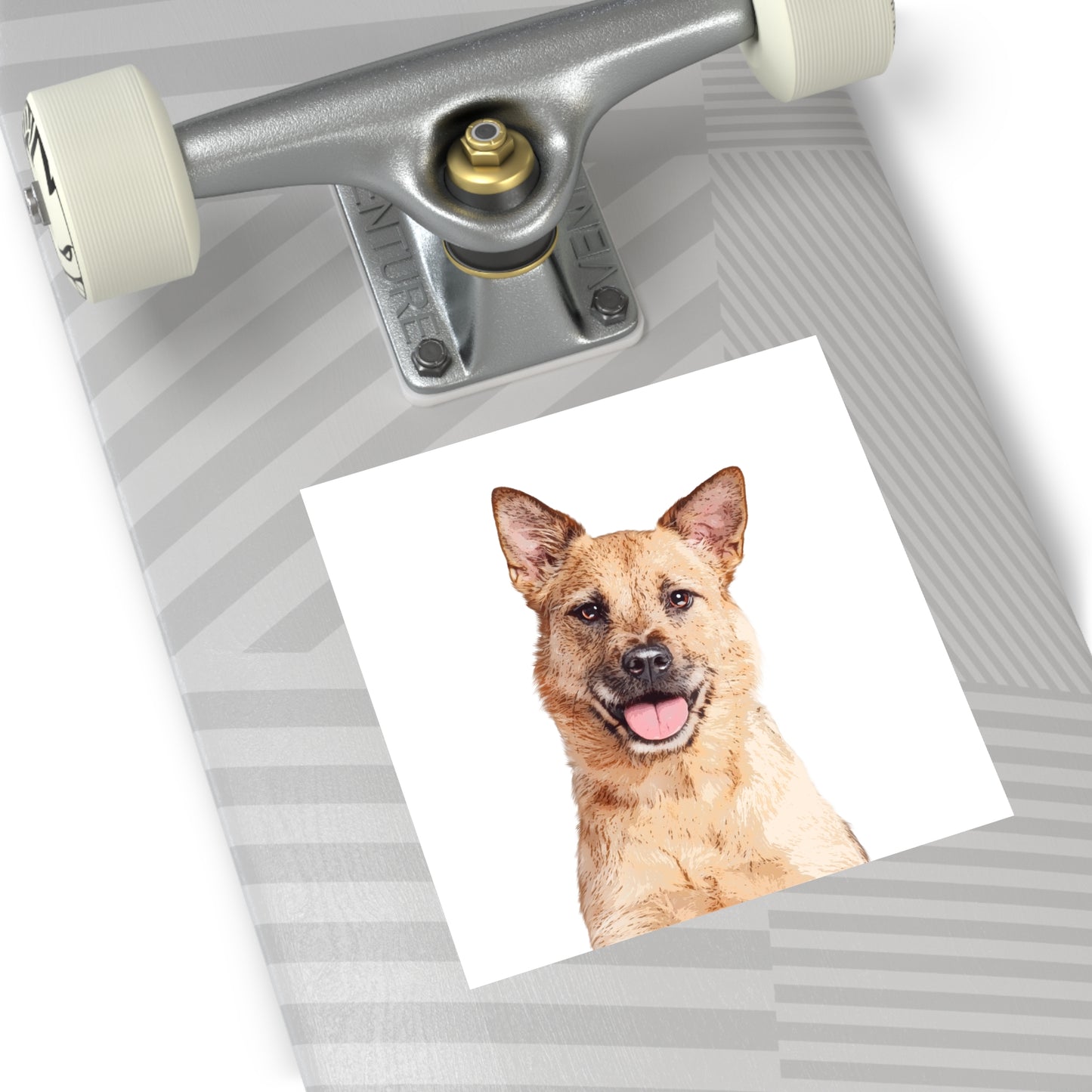 Skateboard with a dog photo on a white background