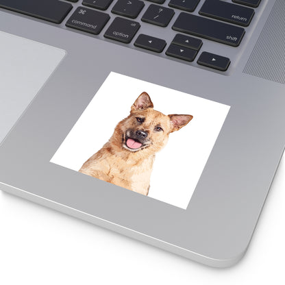 Custom Pet Art Vinyl Stickers