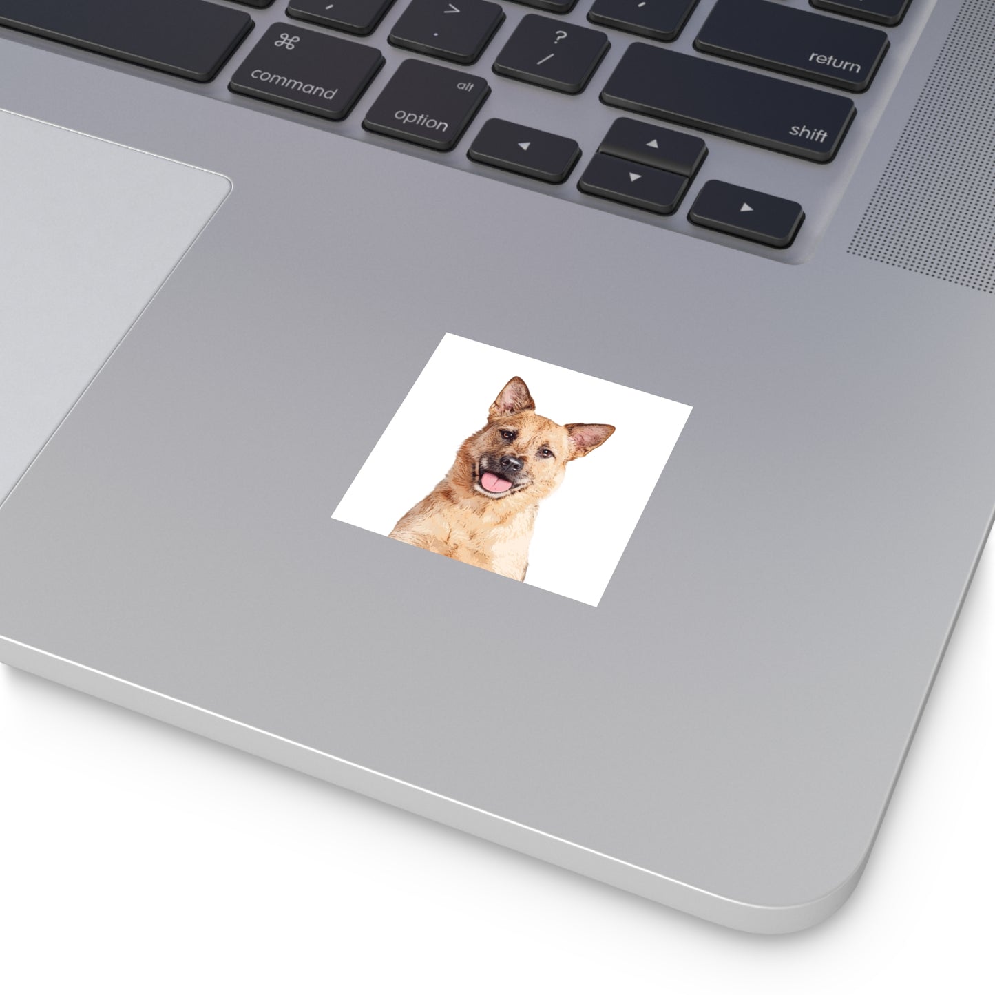 Custom Pet Art Vinyl Stickers