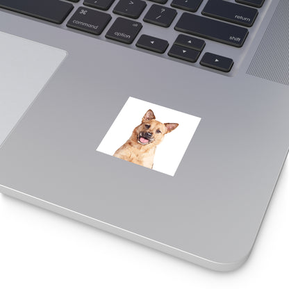 Custom Pet Art Vinyl Stickers