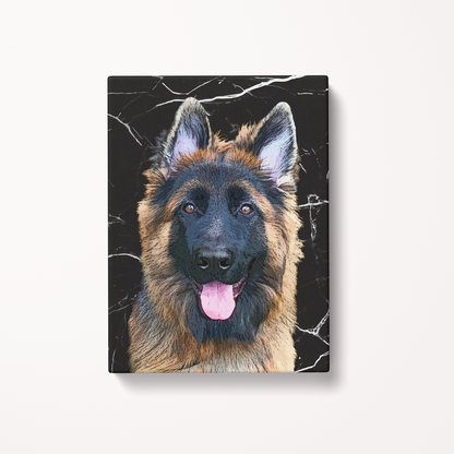 Original Pet Pop Art Canvas Wrap canvas print long haired german shepherd