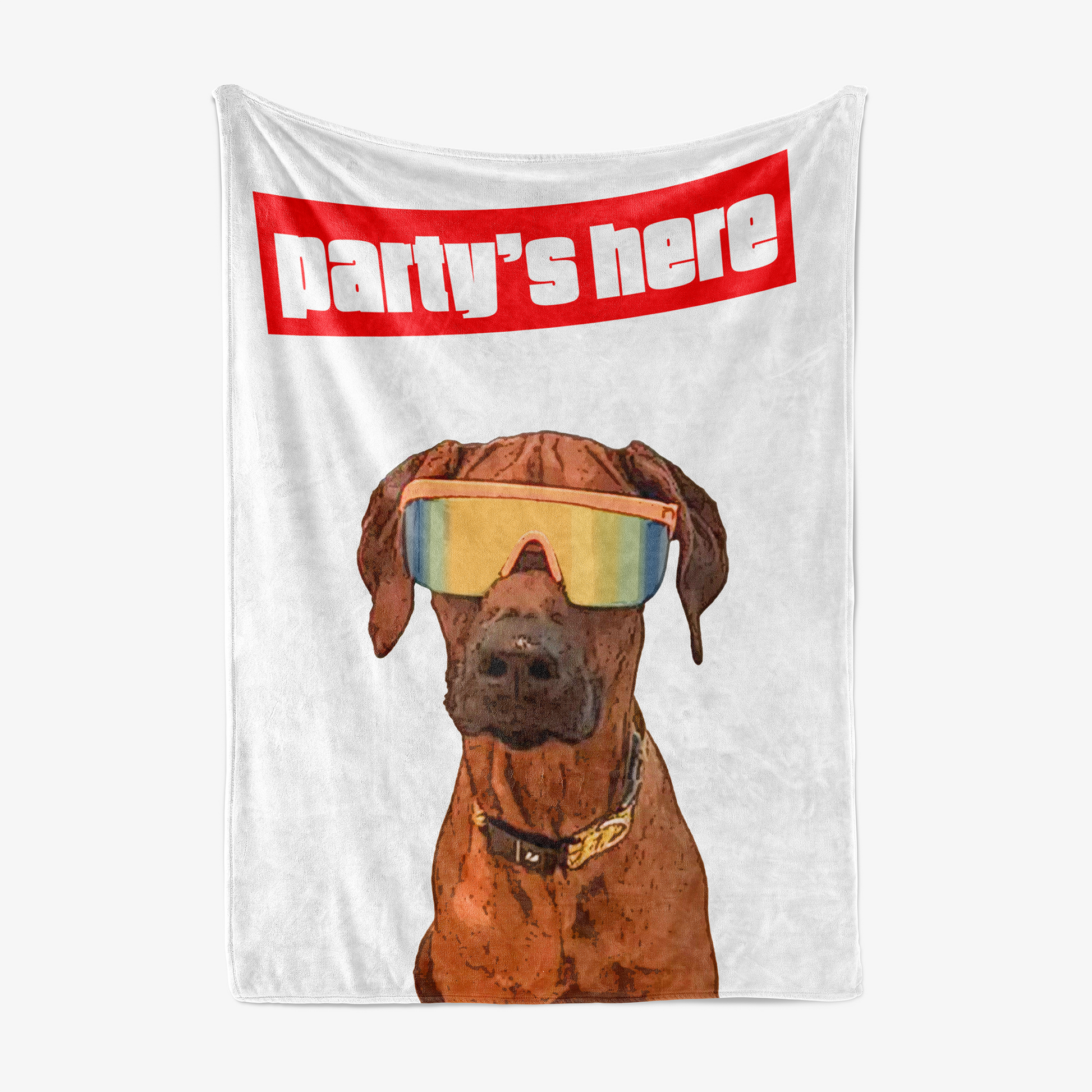 Blanket with a dog wearing goggles and 'Party's here' text - Pop Your Pup