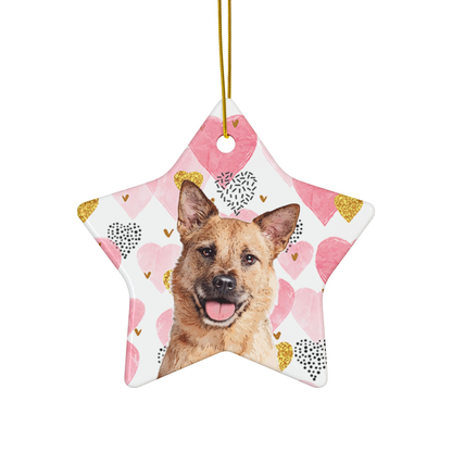 Custom Pet Art Holiday Ornaments