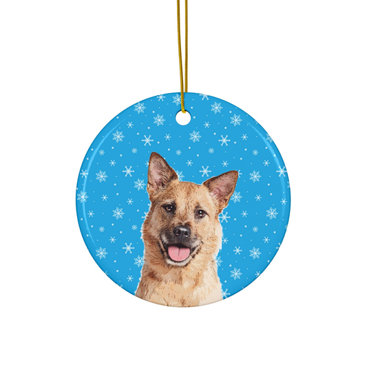 Custom Pet Art Holiday Ornaments