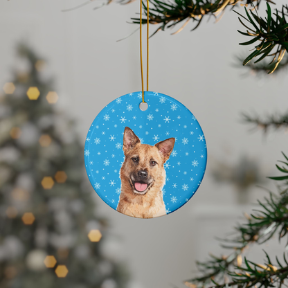 Original Pet Pop Art Holiday Ornaments