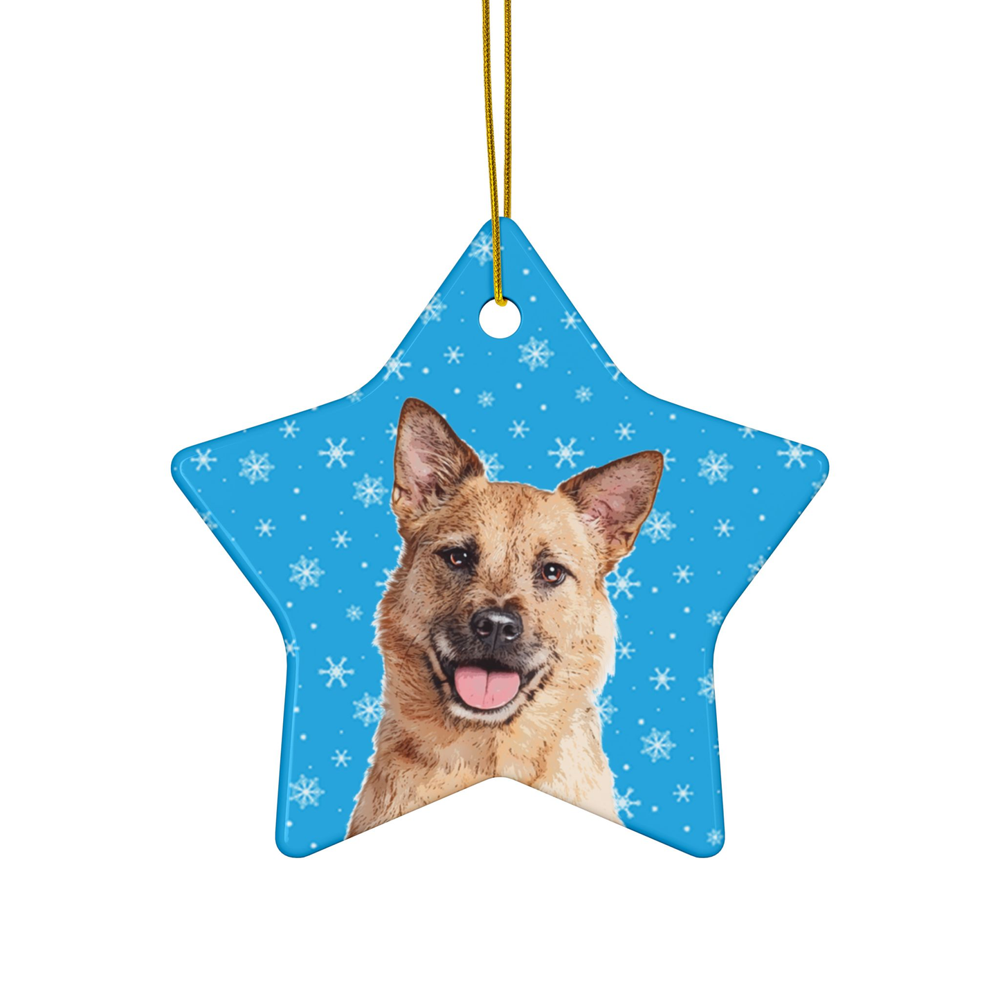 Original Pet Pop Art Holiday Ornaments