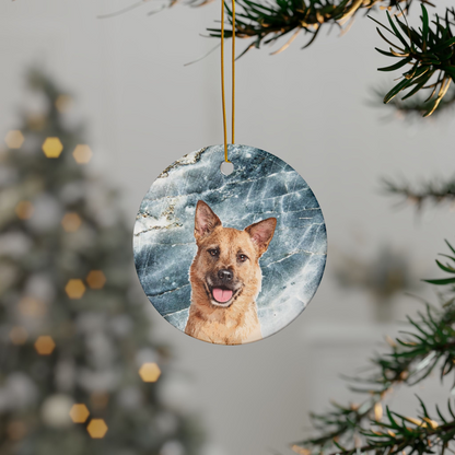Original Pet Pop Art Holiday Ornaments
