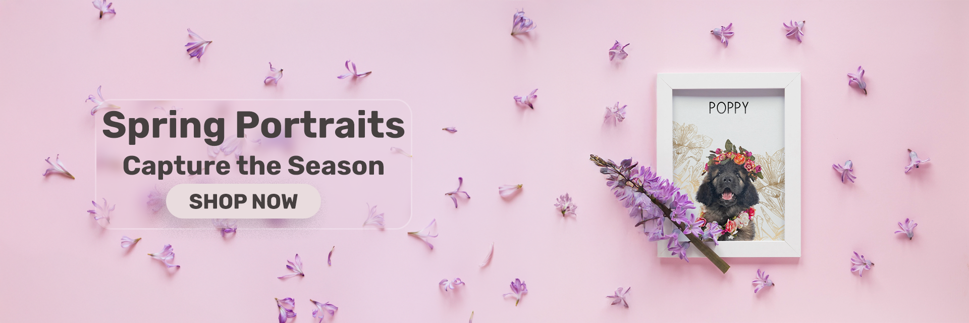 Promotional banner for 'Spring Portraits' with a framed photo of a dog and flowers on a pink background.