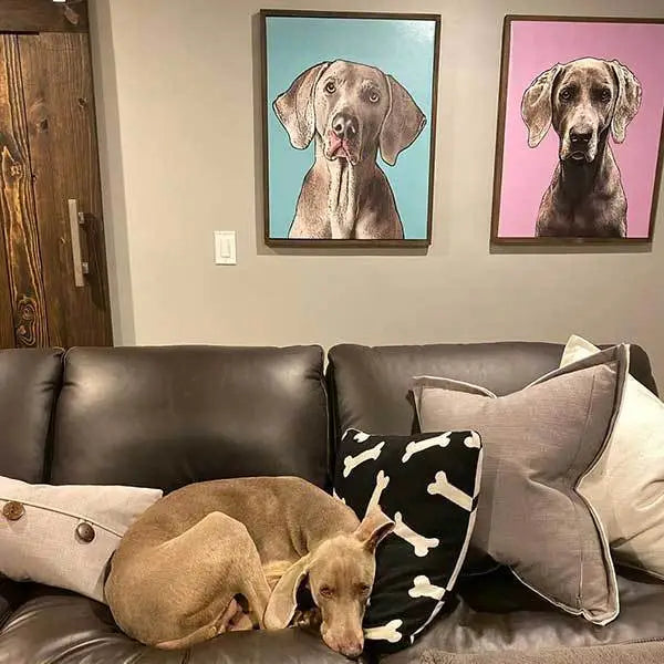 Custom Pet Art Framed Canvas light brown dog curled dark