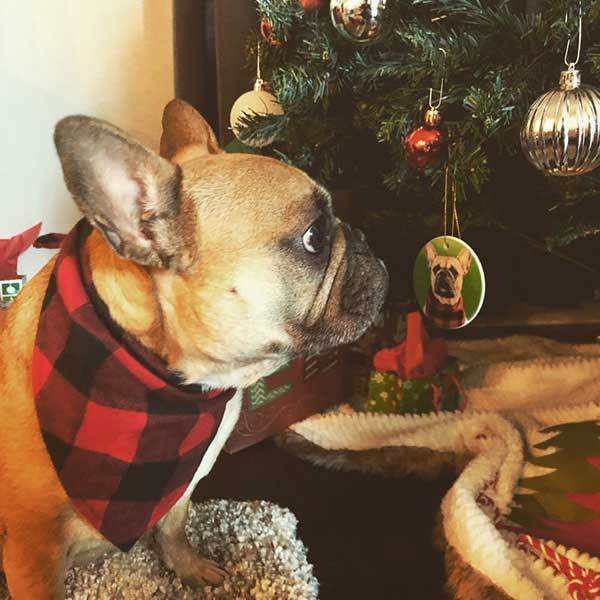 Original Pet Pop Art Holiday Ornaments