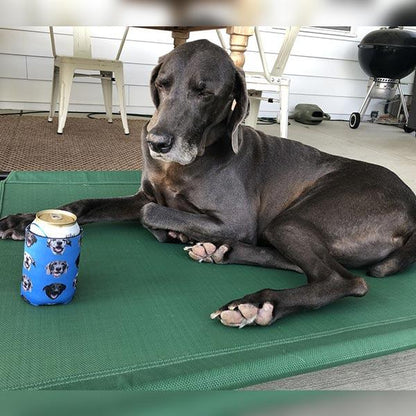 Original Pet Pop Art Drink Koozie