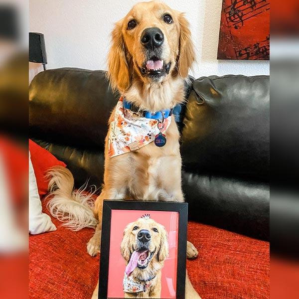 Dog sitting on a couch with a framed photo of itself on a red surface