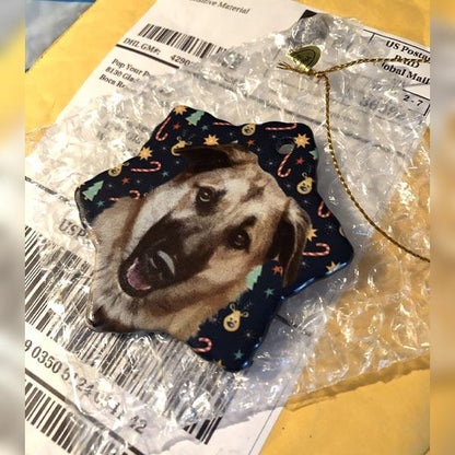 Original Pet Pop Art Holiday Ornaments