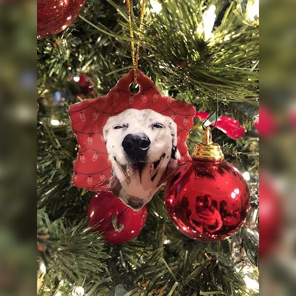Original Pet Pop Art Holiday Ornaments