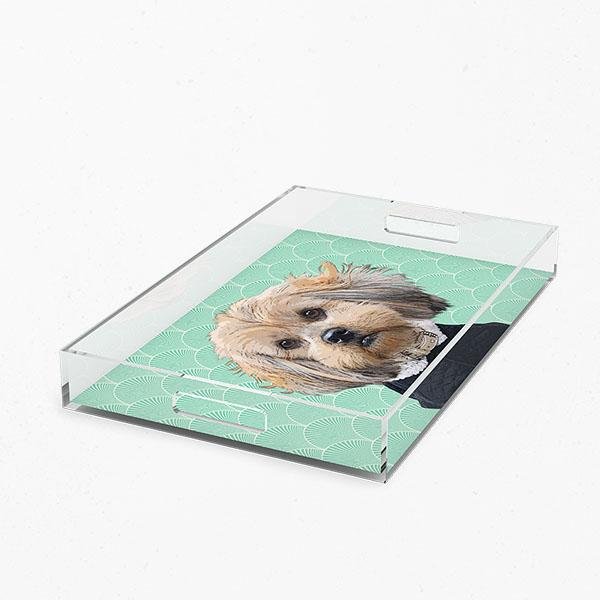Custom Pet Art Acrylic Tray - Pop Your Pup!™