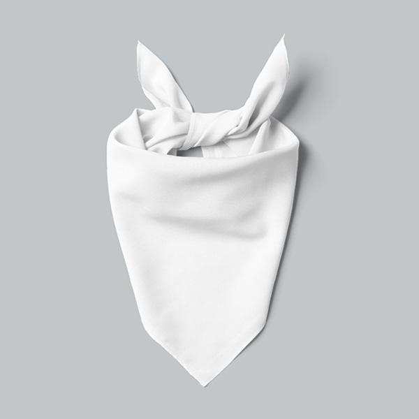 Custom Pet Art Bandana - Pop Your Pup!™