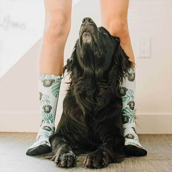 4X Socks Bundle – Pop Your Pup!™