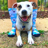 Calcetines personalizados de arte para mascotas