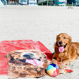 Pet Pop Art Beach Beach Towel
