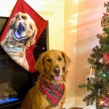 Original Pet Pop Art Christmas Stockings