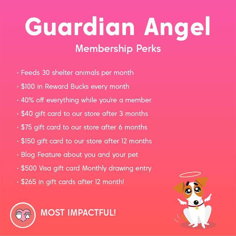 Paw Squad - Guardian Angel Membership - Custom pet art of your dog or cat by pop-your-pup