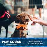 Paw Squad VIP Club 🐶🛡 - Custom pet art of your dog or cat by pop-your-pup
