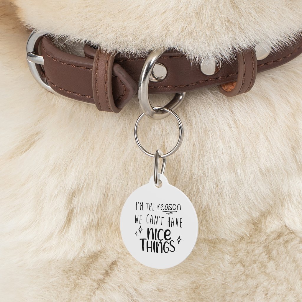 Cant Have Nice Things Pet Tag