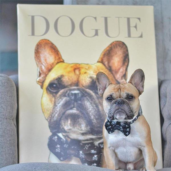 Custom Pet Art Canvas Wrap fawn french bulldog black bow