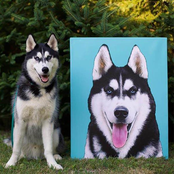 Custom Pet Art Canvas Wrap black white husky dog blue
