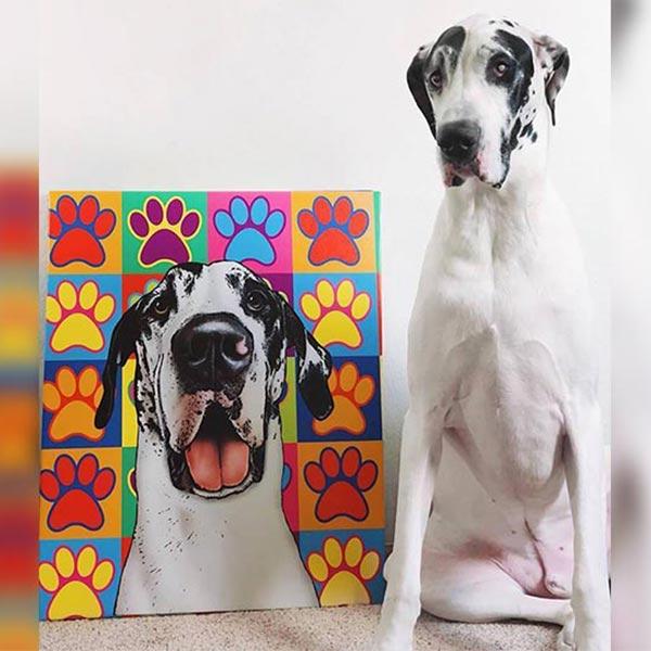 Custom Pet Art Canvas Wrap great dane harlequin coat pattern