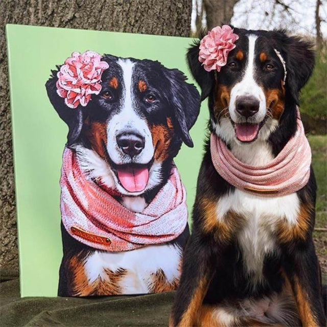 Custom Pet Art Canvas Wrap 8 x 10 bernese mountain dog pink scarf