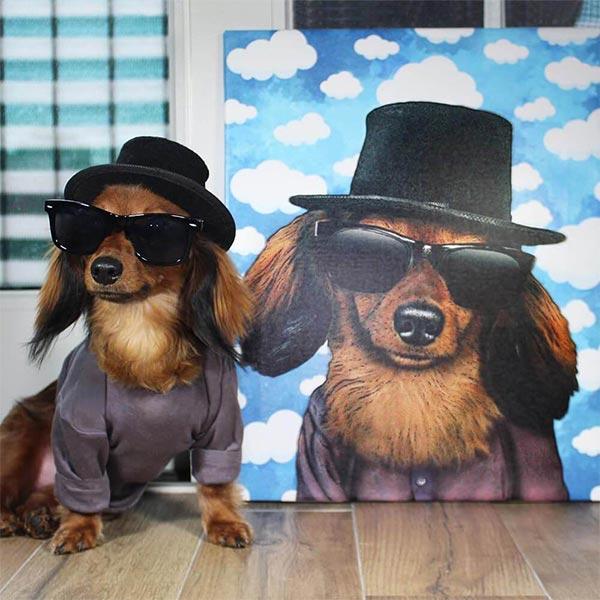Custom Pet Art Canvas Wrap dachshund dog hat sunglasses shirt