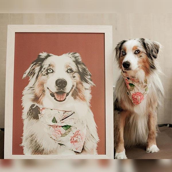 Border Collie Dog puppy available as Framed Prints, Photos, Wall Art and  Photo Gifts