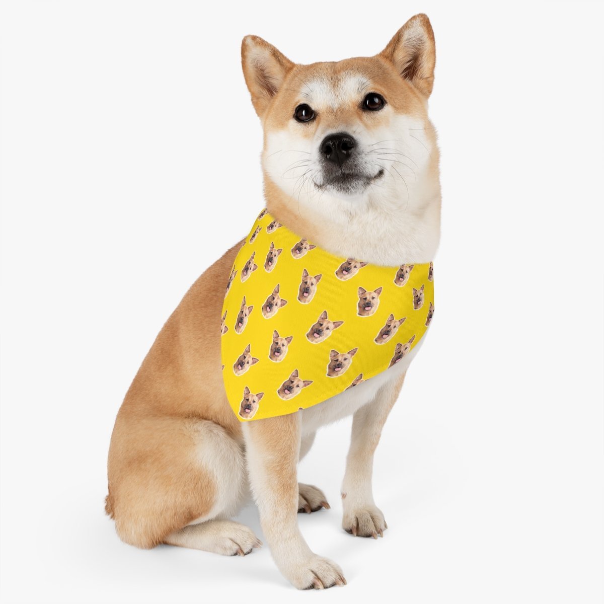 Custom Pet Art Pet Bandana Collar - Pop Your Pup!™