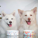 Custom Pet Art Pet Bowls