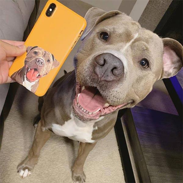 Custom Pet Art Phone Case – Pop Your Pup!™ Custom Pet Art Phone Case – Pop Your Pup!™