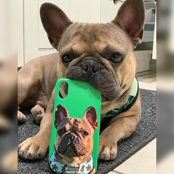 Custom Pet Art Phone Case Pop Your Pup! Custom Pet Art Phone Case Pop Your Pup!