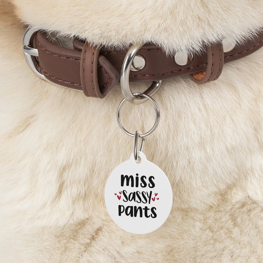 Miss Sassy Pants Pet Tag