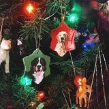Original Pet Pop Art Porzellan Ornaments