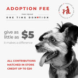 Paw Squad - Adoption Fund