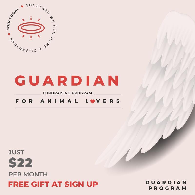 Paw Squad-Guardian Angel Membership
