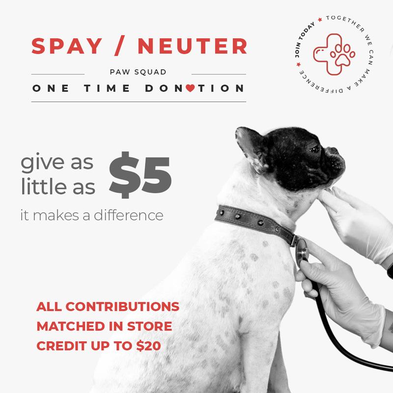 Paw Squad - Spay/Neuter Fund
